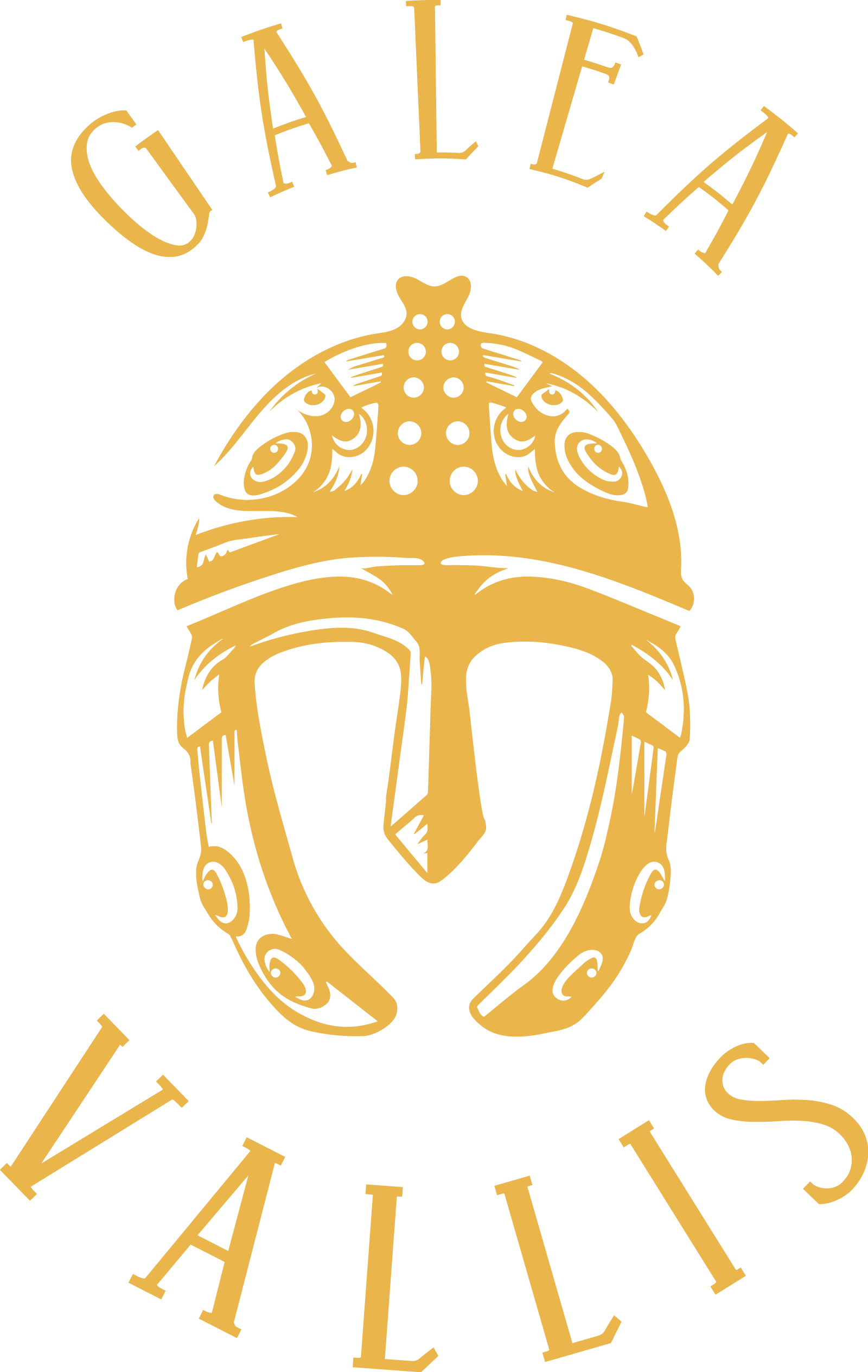 GALEA VALLIS