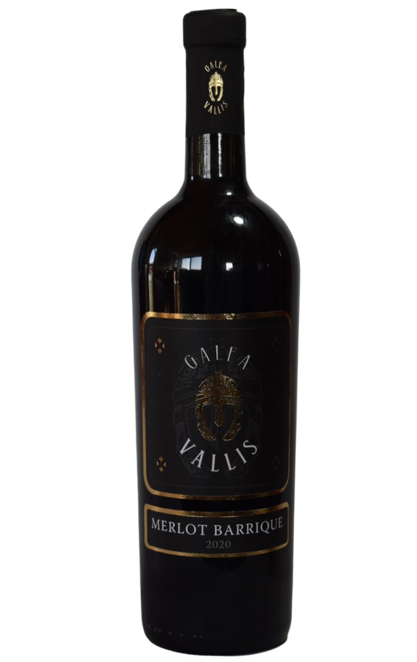 Merlot Barrique 2020.