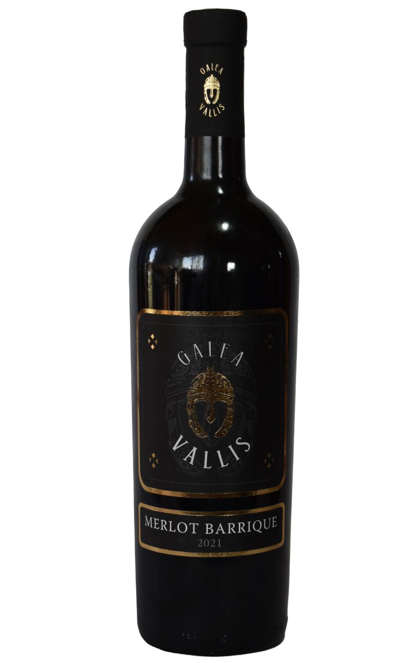 Merlot Barrique 2021.