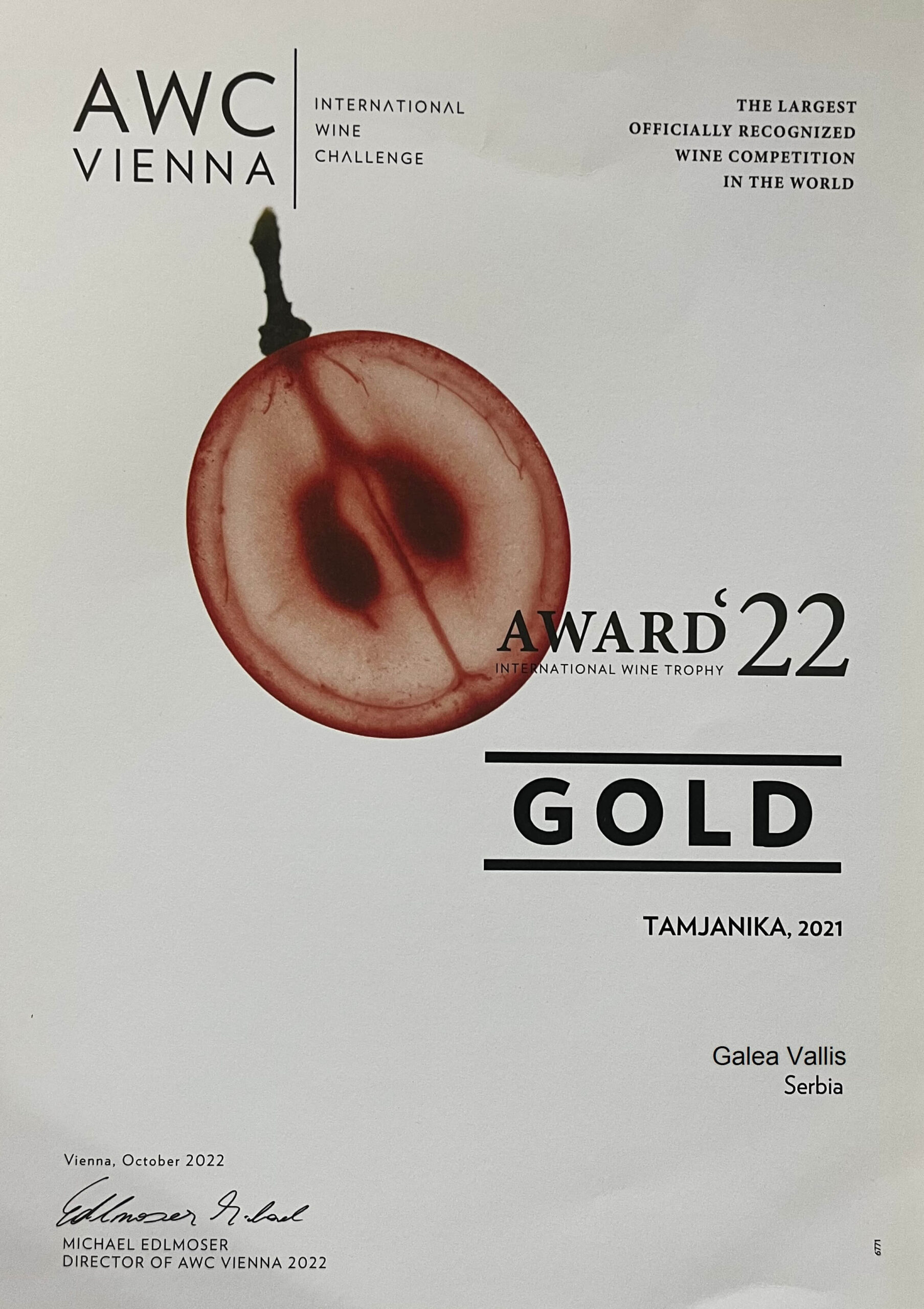 gold tamjanika 21
